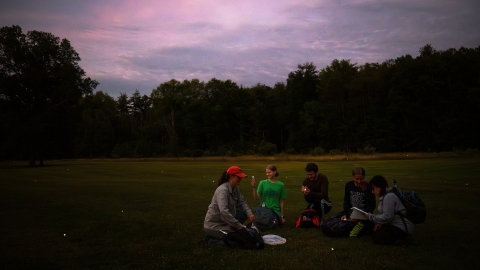 A professor and her students sit in a field at dusk surrounded by the glowing orbs of fireflies.
