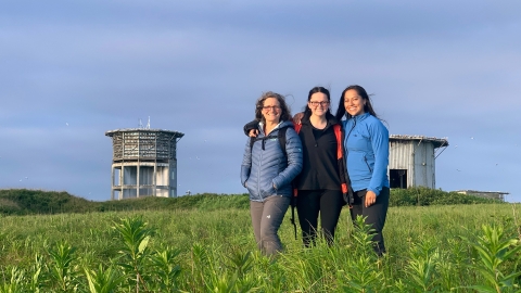 MiddletonIslandBirds