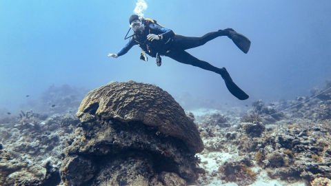 Kyle Fouke diving at the Great Barrier Reef