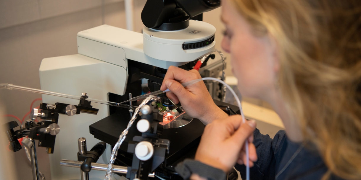 Student working in biology lab