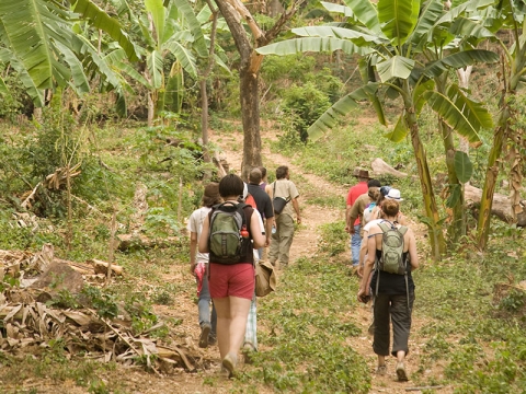 Students in the Bucknell Brigade walk through the jungle in Nicaragua