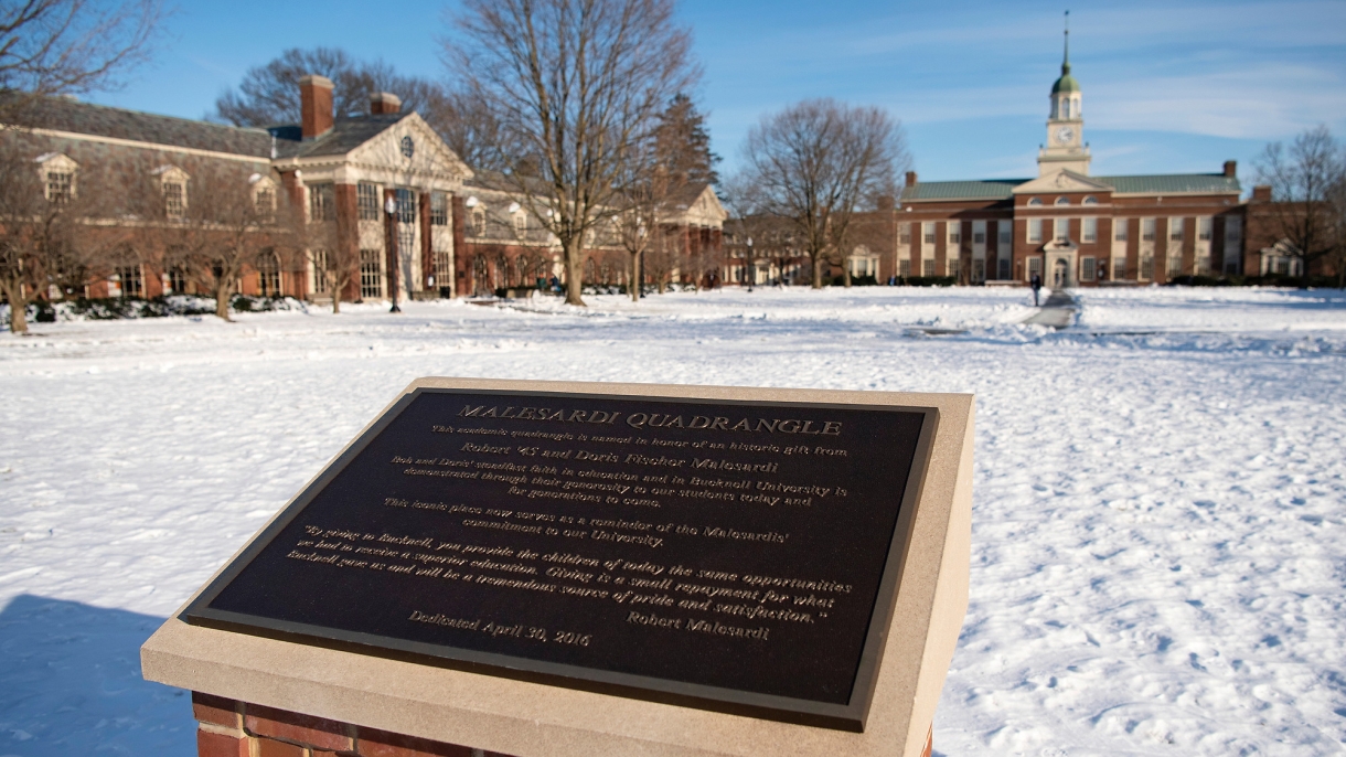 Malesardi Quad plaque in winter