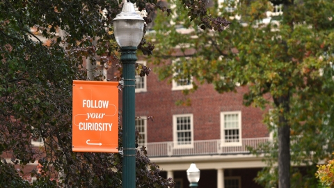 A lamp post banner stating follow your curiosity