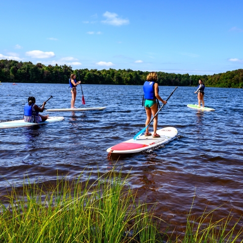 Students on paddle boards in a river. 