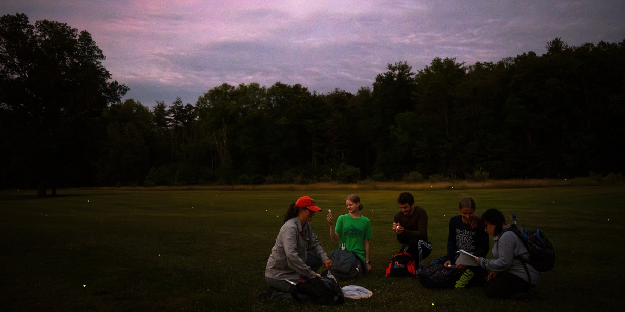 A professor and her students sit in a field at dusk surrounded by the glowing orbs of fireflies.