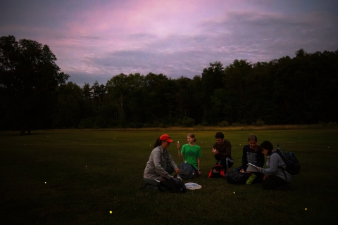 A professor and her students sit in a field at dusk surrounded by the glowing orbs of fireflies. 