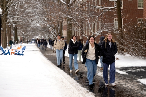 A group of Bucknell students walk along a path surrounded by a fresh layer of snow. 