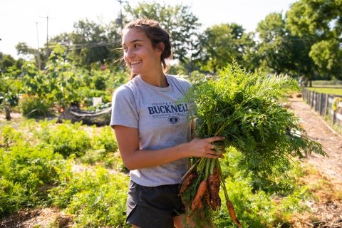 Student cu pachet de morcovi în grădină comunitate
