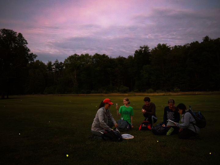 A professor and her students sit in a field at dusk surrounded by the glowing orbs of fireflies.
