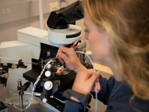 Student working in biology lab