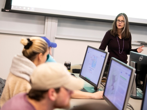 Professor in GIS Lab