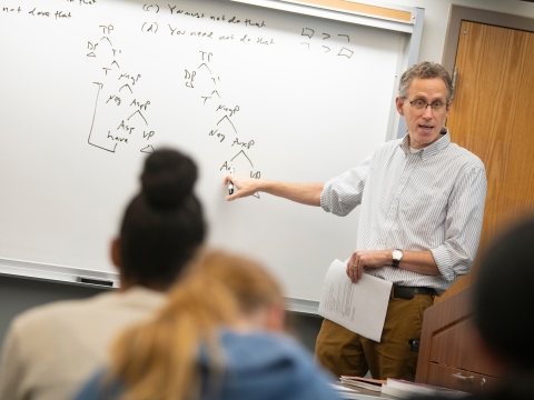 Professor teaching linguistics class