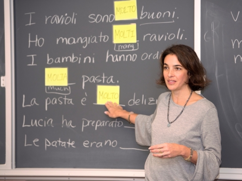 Professor teaching an Italian class