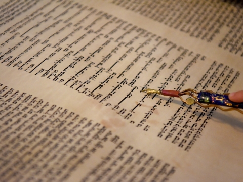A close up of the Torah being read
