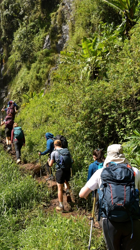 Students approach a waterfall while hiking Mount Kilimanjaro